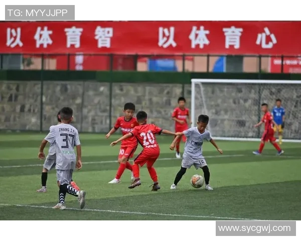 足球的魅力与激情探讨以及如何提升青少年足球水平的建议与思考